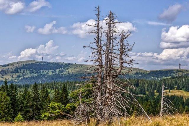 Bergsee Schluchsee Esterno foto